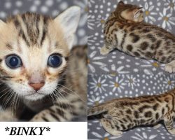 Binky 4 Weeks