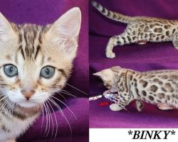 Binky 6 Weeks