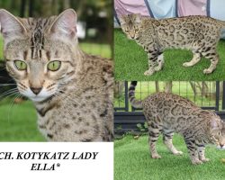 Ella 2.5 Years
